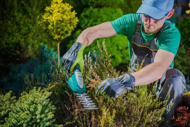 landscaping services Ladue
